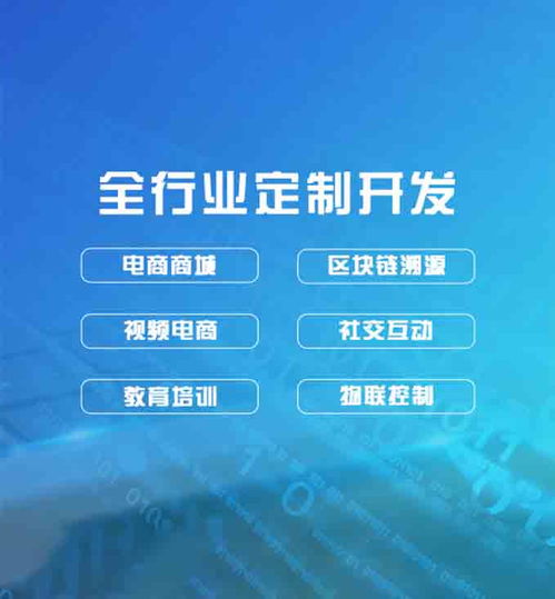生產軟件定制開發app開發大概需要多少錢