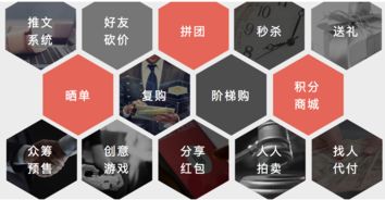 我為什么選擇做社交電商