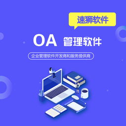 北京定制oa辦公系統推薦速獅軟件,全程貼心無憂服務