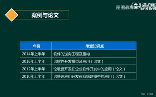 系統分析師 軟件工程