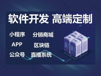 h5網站、小程序、app、公眾號軟件系統定制開發